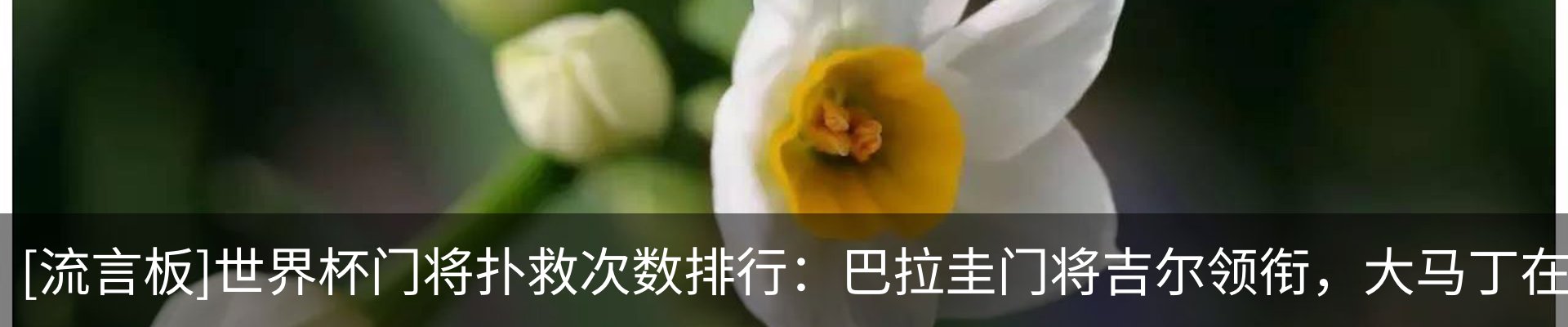 热点资讯